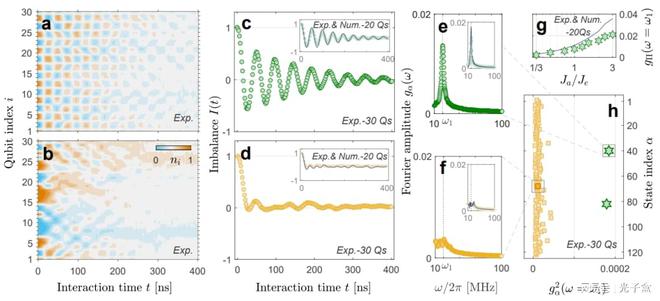 浙江大学首次利用超导处理器观察到量子多体疤痕态